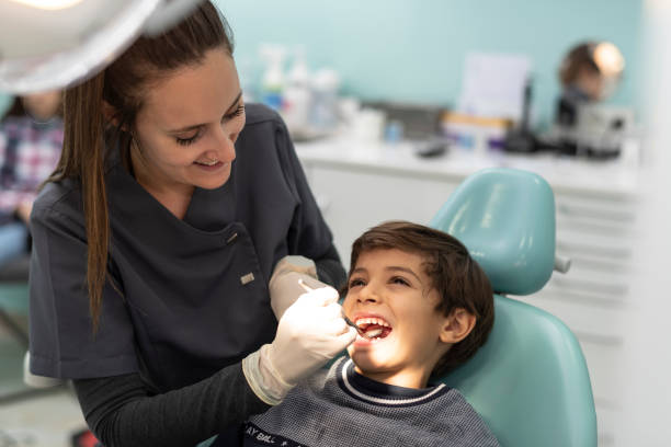 Best Emergency Orthodontic Repairs in St Leo, FL